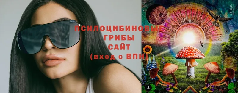 Псилоцибиновые грибы Magic Shrooms  закладки  Казань 